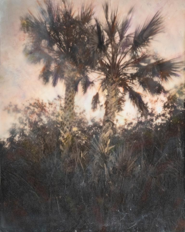 Wendy Roussin's "Untitled FL (c)" was juried into the international exhibition: The Montgomery Photo Festival 2026.